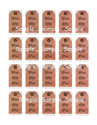 T35 - "Wise Old Owl" Tags